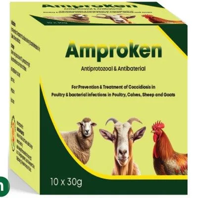 Amproken