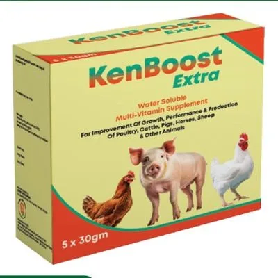 KenBoost Extra
