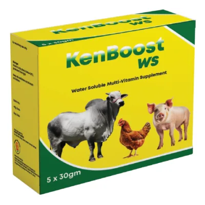 KenBoost WS