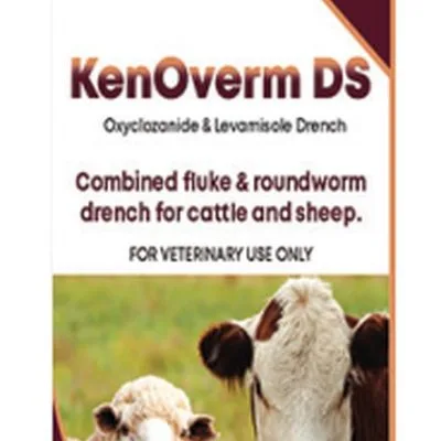 KenOverm DS