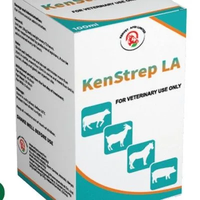 KenStrep LA