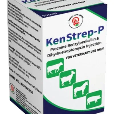 KenStrep-P