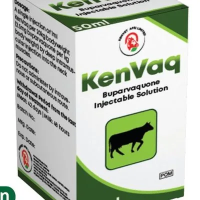 KenVaq
