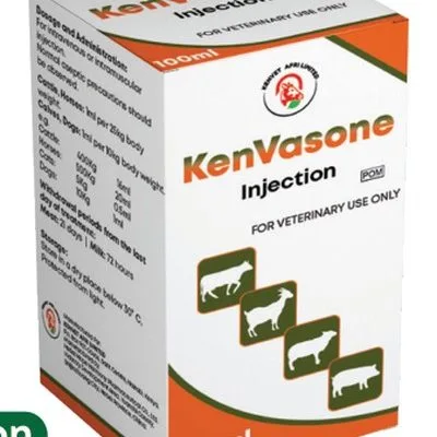 KenVasone